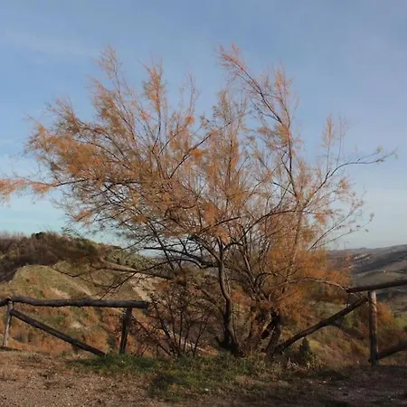 Il Roccolo - Piccola Casa Indipendente Con Vista Panoramica Nyaraló